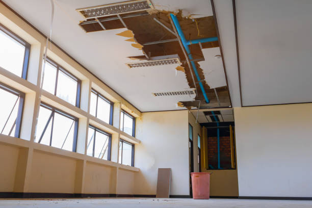 Best Fire Damage Restoration  in Mountain Green, UT