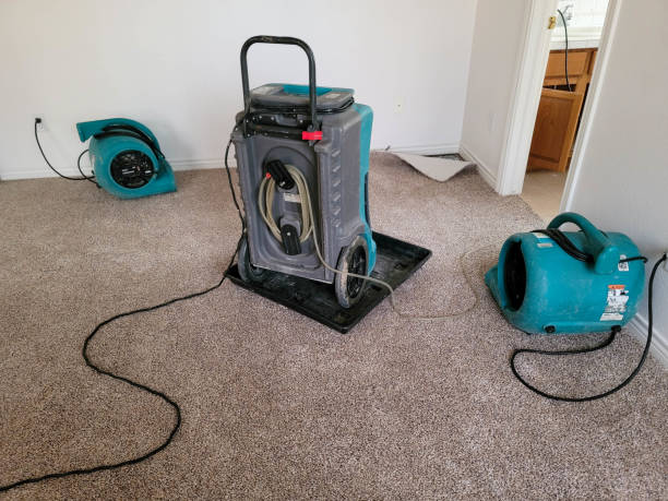 Best Water damage restoration experts  in Mountain Green, UT