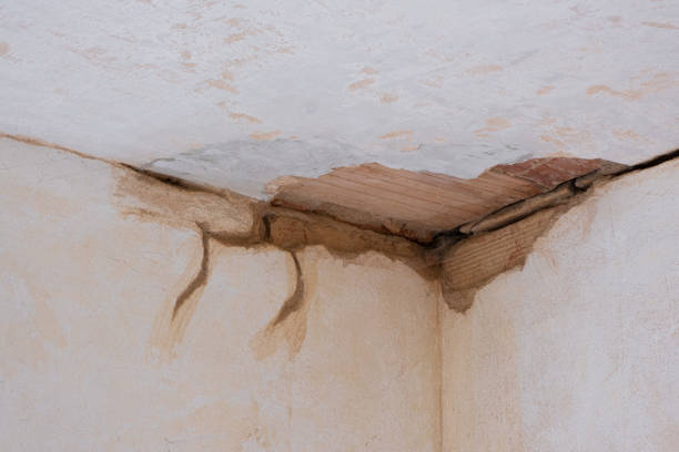 Best Emergency water extraction  in Mountain Green, UT