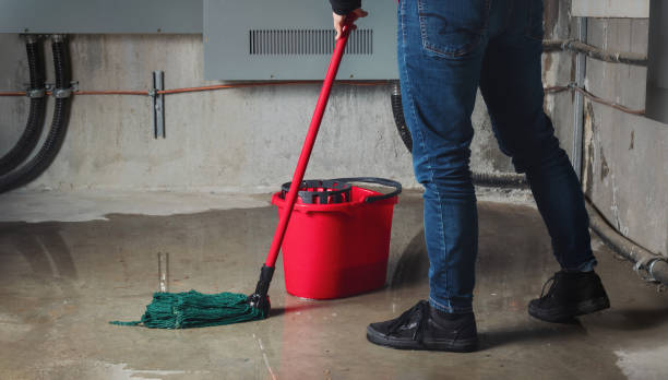 Best Water damage contractors near me  in Mountain Green, UT