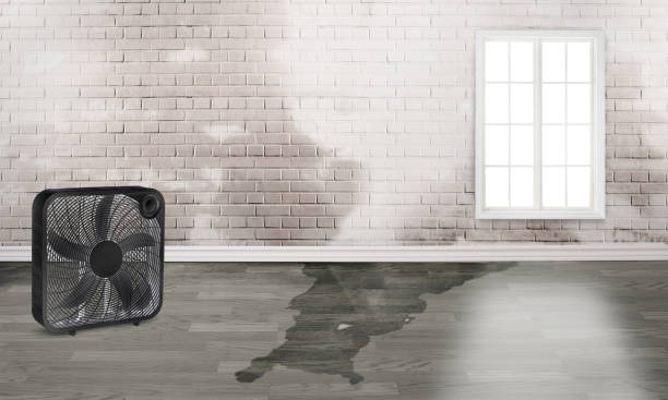 Professional Water damage restoration in Mountain Green, UT
