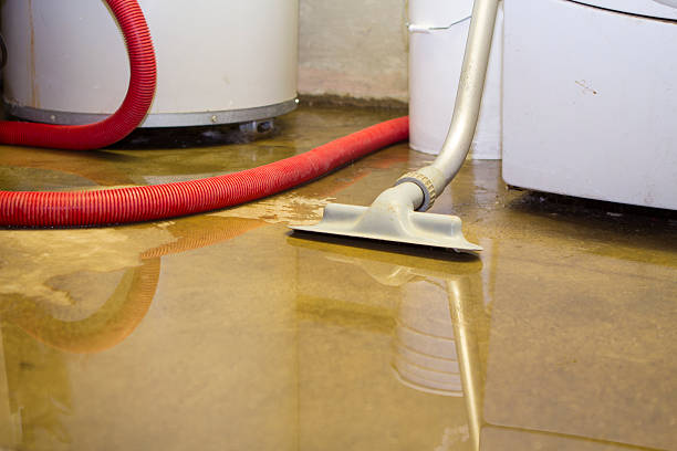 Best Commercial water damage restoration  in Mountain Green, UT