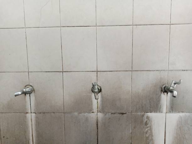 Best Basement water damage restoration  in Mountain Green, UT