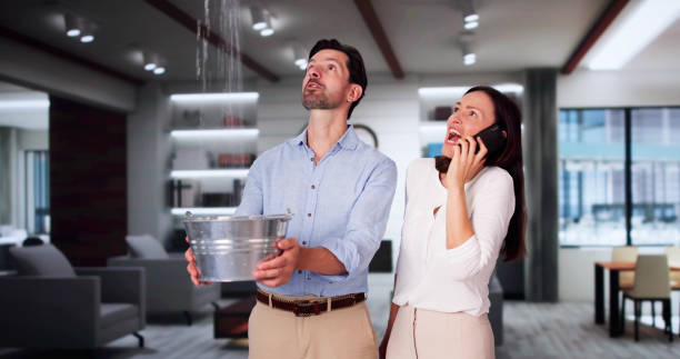 Best Professional water damage repair  in Mountain Green, UT